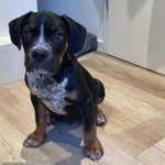 Ersteller:in Tina Profilbild