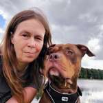 Ersteller:in Ivonne Profilbild