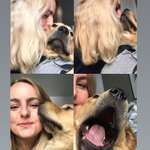 Ersteller:in Lena Profilbild