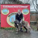 Ersteller:in Kveld Profilbild