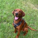 Ersteller:in Virginia Profilbild