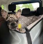 Ersteller:in Steffi Profilbild