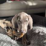 Ersteller:in Claudia Profilbild