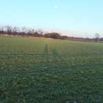 Ersteller:in Edda Profilbild