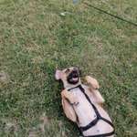 Ersteller:in stacy Profilbild