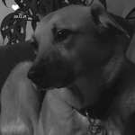 Ersteller:in Yvonne Profilbild