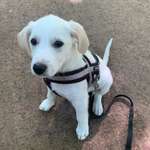 Ersteller:in Jill Profilbild