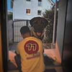 Ersteller:in Zafir Profilbild