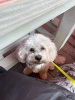 Herzensangelegenheit: Kardiologe in-und um Berlin?-Beitrag-Bild