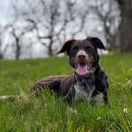 Ersteller:in Lena Profilbild