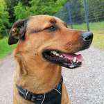 Ersteller:in Jonas Profilbild