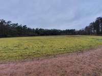 Hundeauslaufgebiet-Lingen-Bild