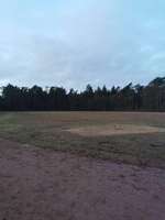 Hundeauslaufgebiet-Lingen-Bild