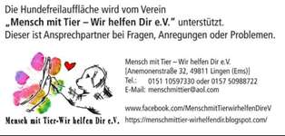 Hundeauslaufgebiet-Lingen-Bild