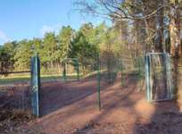 Hundeauslaufgebiet-Lingen-Bild