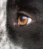 Blick fürs Detail!-Beitrag-Bild