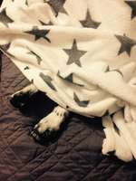 Blick fürs Detail!-Beitrag-Bild