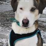 Ersteller:in Sarina Profilbild