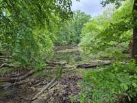 Hundeauslaufgebiet-Totenkopf Plauerhof-Bild