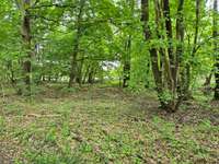 Hundeauslaufgebiet-Totenkopf Plauerhof-Bild
