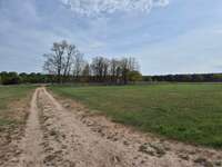 Hundeauslaufgebiet-Rieselfeld-Bild