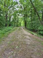 Hundeauslaufgebiet-Totenkopf Plauerhof-Bild