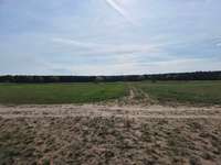Hundeauslaufgebiet-Rieselfeld-Bild