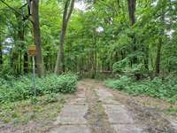 Hundeauslaufgebiet-Totenkopf Plauerhof-Bild