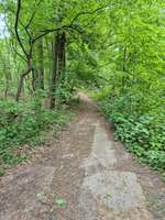 Hundeauslaufgebiet-Totenkopf Plauerhof-Bild