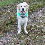 Suche Verein für weiteres Training-Beitrag-Bild