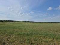 Hundeauslaufgebiet-Rieselfeld-Bild