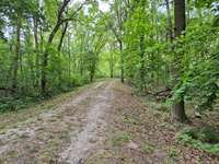 Hundeauslaufgebiet-Totenkopf Plauerhof-Bild