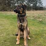 Ersteller:in Anna Profilbild