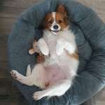 Ersteller:in Jenny Profilbild