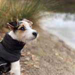 Ersteller:in Kathrin Profilbild