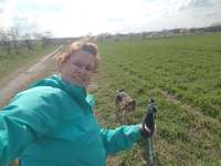 Nordic Walking mit Hund-Beitrag-Bild