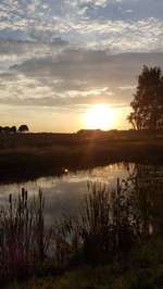 Hundeauslaufgebiet-Karower Wiesen-Bild