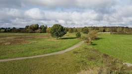 Hundeauslaufgebiet-Karower Wiesen-Bild