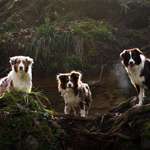 Ersteller:in Celina Profilbild