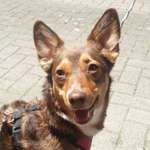 Ersteller:in Alexandra Profilbild