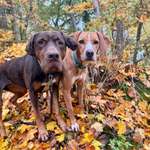 Ersteller:in Jana Profilbild