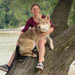 Ersteller:in Viktoria Profilbild