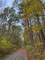 Hundeauslaufgebiet-Nonnenholz / Hubertus-Bild