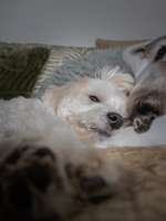 Kritik muss auch mal sein-Beitrag-Bild