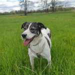 Ersteller:in Michelle Profilbild