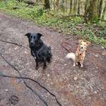 Ersteller:in Vanessa Profilbild