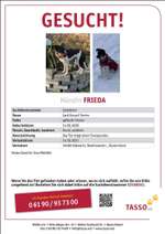 Suchmeldung-Frieda-Bild
