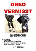 Suchmeldung-Oreo-Bild