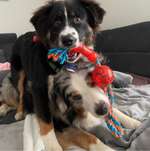 Ersteller:in Maria Profilbild