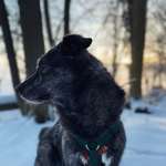 Ersteller:in Johanna Profilbild